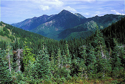 Olympic National Park