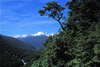 mountains