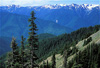 olympic national park