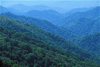 smoky mountains