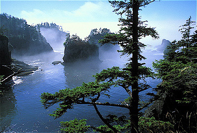 cape flattery