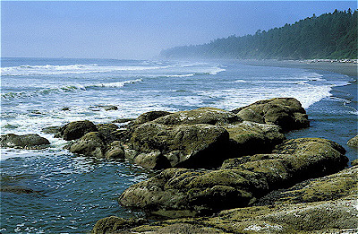 Olympic National Park