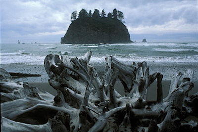 Olympic National Park