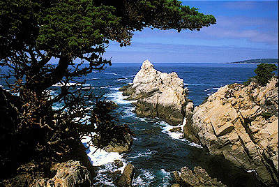 Point Lobos