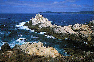 Point Lobos