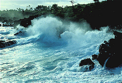 Puna Coast