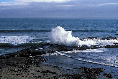 Santa Cruz Coast