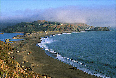 Sonoma Coast