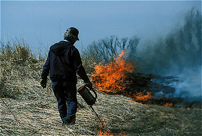 Prairie Management Fire