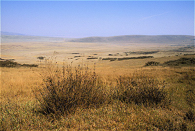 Ngorongoro Crater