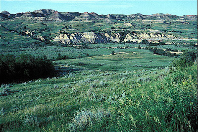 Theodore Roosevelt National Park