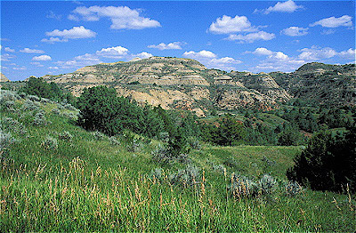 Theodore Roosevelt National Park