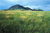 bear butte state park