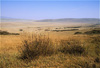 ngorongoro crater