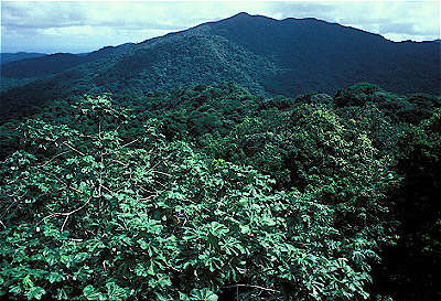 Luquillo Mountains