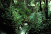 el yunque