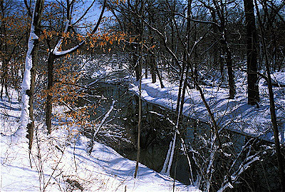 Chicago River - Winter