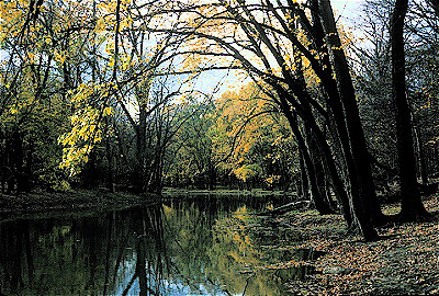 Des Plaines River