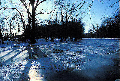 Frozen Des Plaines River