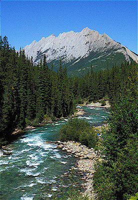 Maligne River