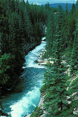 Maligne Canyon