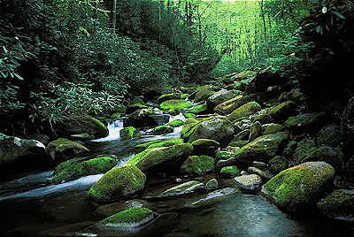 Roaring Fork Creek