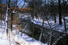 north branch chicago river