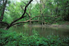 chicago river, north branch