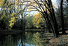 des plaines river (fall)