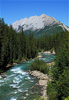 maligne river