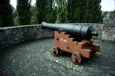 fort w/ cannon