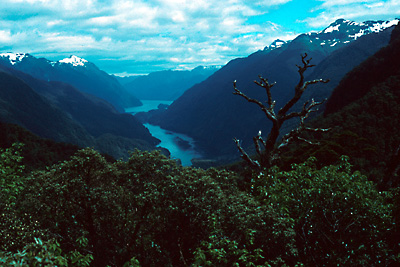 doubtful_sound