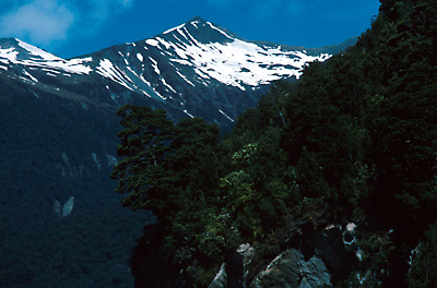 mt_aspiring_np