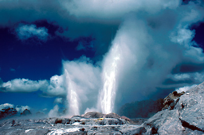 pohutu_geyser