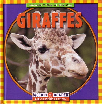 giraffes