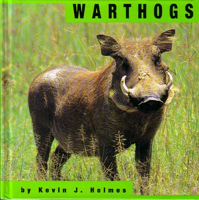 wart hogs