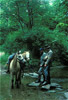 confederate watering horses
