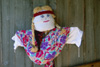 scarecrow