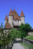 thun castle